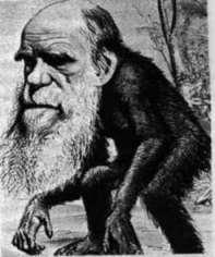 Fu Charles Darwin, nel 1871, ad affermare per primo, nel suo libro "The descent of Man" (L'origine dell'uomo), che l uomo è un essere vivente come tutti gli altri, soggetto, quindi, alle stesse leggi