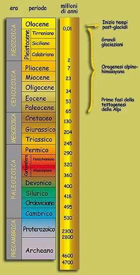 Primi dinosauri, mammiferi e uccelli Primi rettili Comparsa dei primi ominidi Prime forme di vita marine: inizi di febbraio Dinosauri: metà dicembre Piante e