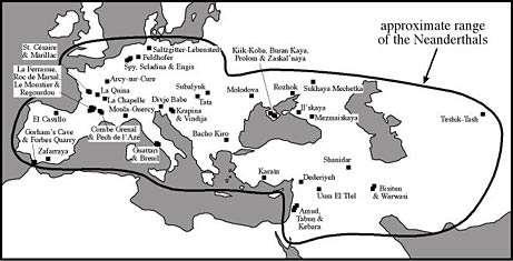 Qual è il posto del Neanderthal