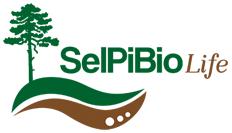 Selvicoltura innovativa per accrescere la biodiversità dei suoli in popolamenti artificiali di pino nero Elisa Bianchetto LIFE13 BIO/IT/000282 Partenariato: Coordinatore