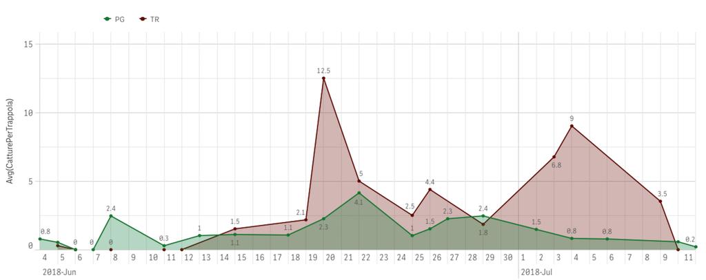 Grafico 11: Diffusione dell Oidio Erysiphe necator [Schwein] per varietà monitorata (%) su grappolo.