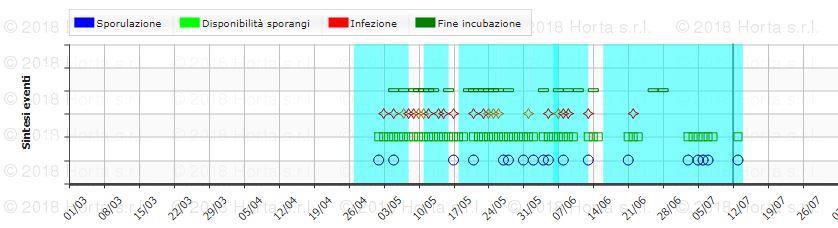 Grafico 3: Analisi DSS (Modello Vite.net ) Peronospora - infezioni secondarie [Plasmopara viticola (Berk. & M.A. Curtis - Berl. & De Toni, 1888)].