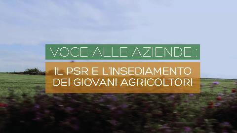 Video: PSR Puglia - Voce alle Aziende PSR Puglia - Voce alle aziende Realizzazione del Video reportage (Voce alle Aziende: Il psr e l insediamento dei nuovi agricoltori)nell ambito