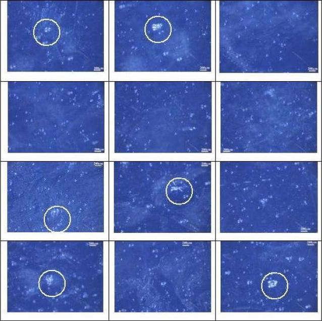 Le foto della radiazione del Torio evidenziata all interno dei cerchi. La prima colonna: i quattro campioni di Torio senza ultrasuoni.