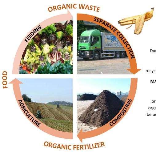 Compostaggio ed Economia Circolare RECUPERO DI MATERIA 274 impianti di compostaggio che producono Compost utilizzato in