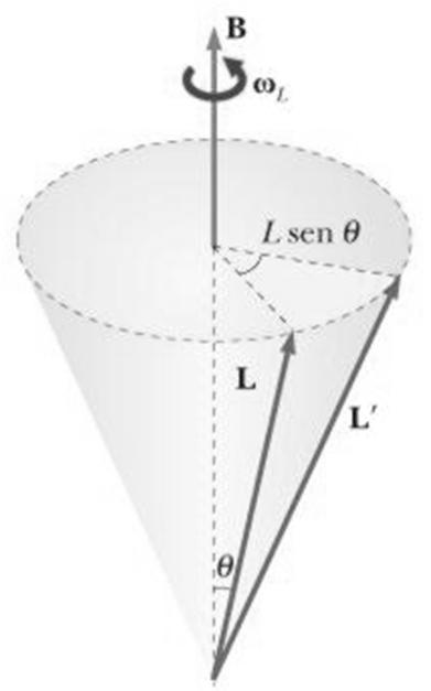 Teoria di Langevin del diamagnetismo La teoria del diamagnetismo descritta è adottata in molti testi È adottata da Purcell ma non da Mazzoldi Mazzoldi presenta la teoria classica di Langevin basata