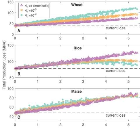 6. EFFETTI DEL RISCALDAMENTO GLOBALE Gli insetti sono pecilotermi: sviluppo e metabolismo dipendono dalla temperatura I danni da insetti fitofagi possono aumentare con il riscaldamento globale