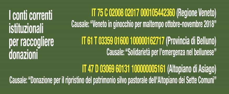 IT 61 T 03359 01600 100000162717 (PROVINCIA DI BELLUNO) Casuale: Solidarietà per l emergenza nel bellunese IT 47 D 03069 60131 100000005161 (ALTOPIANO DI ASIAGO) Casuale: Donazione per il ripristino