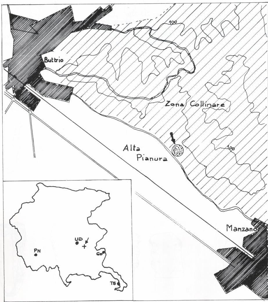 G. NONINI, G. TASCA - Rinvenimenti di superficie.