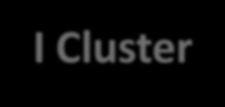 I Cluster Operatori di GRANDI dimensioni Cluster 1 Operatori di MEDIE/PICCOLE dimensioni Cluster 2 Operatori PUBBLICI Cluster 3 Concentrazione di prese in carico uguale > 50%.