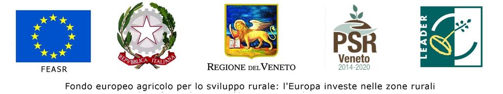 PROGRAMMA DI SVILUPPO RURALE PER IL VENETO 2014-2020 PROGRAMMA DI SVILUPPO LOCALE #DAI COLLI ALL ADIGE 2020 NUOVA ENERGIA PER L INNOVAZIONE DELLO SVILUPPO LOCALE TRA COLLI, PIANURA E CITTA MURATE