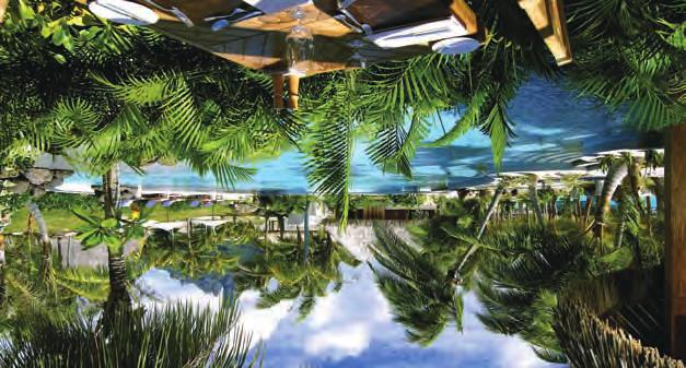 con una spaziosa terrazza con Jacuzzi, 3 villette vista oceano ubicate tra la spiaggia e il giardino con piscina privata immersa nel giardino.