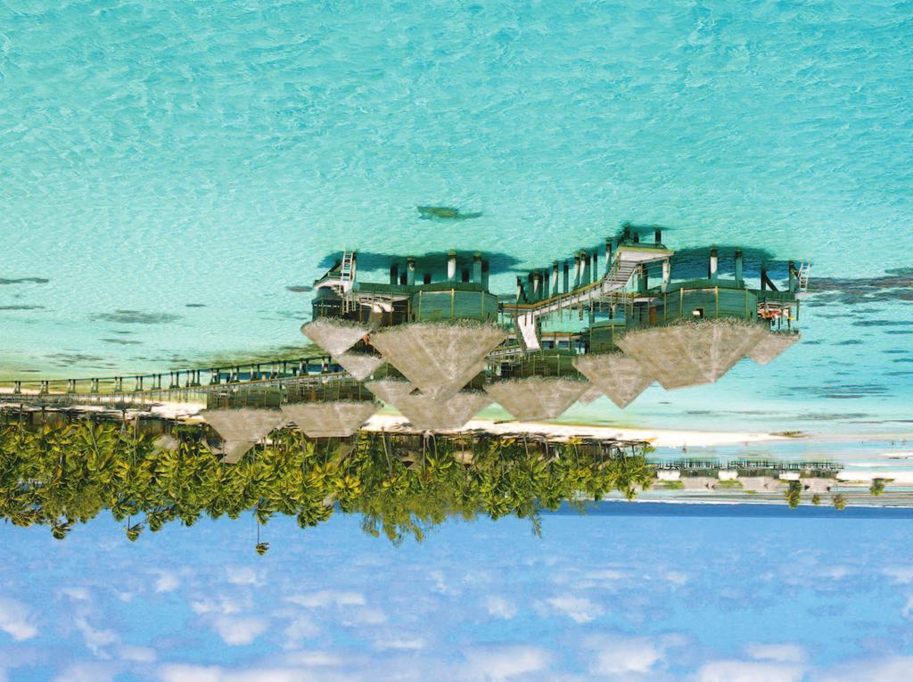 TIKEHAU / POLINESIA Tikehau Pearl Beach Resort 4 ettari di paradiso tropicale con stupende spiagge bianco-rosate, posato sull anello corallino che