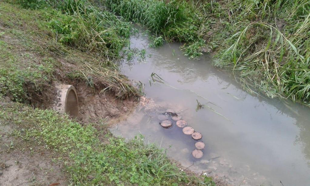 - SCOLO BIANCOLINO, manutenzione scarico e arginatura a valle di