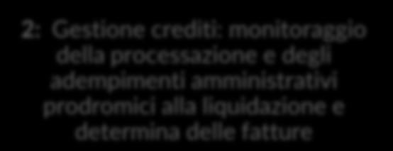 130/99 1: Consulenza legale di avvocati giuspubblicisti in fase