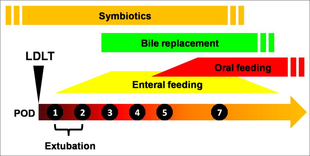 Protocollo di nutrizione enterale precoce Digiunostomia nutrizionale posizionata durante il trapianto 1 GPO: avvio graduale di NE + probiotici + ac.