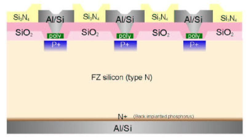 6 Il sistema di tracciamento di CMS Tabella 3.: Principali caratteristiche geometriche dei moduli del SST.