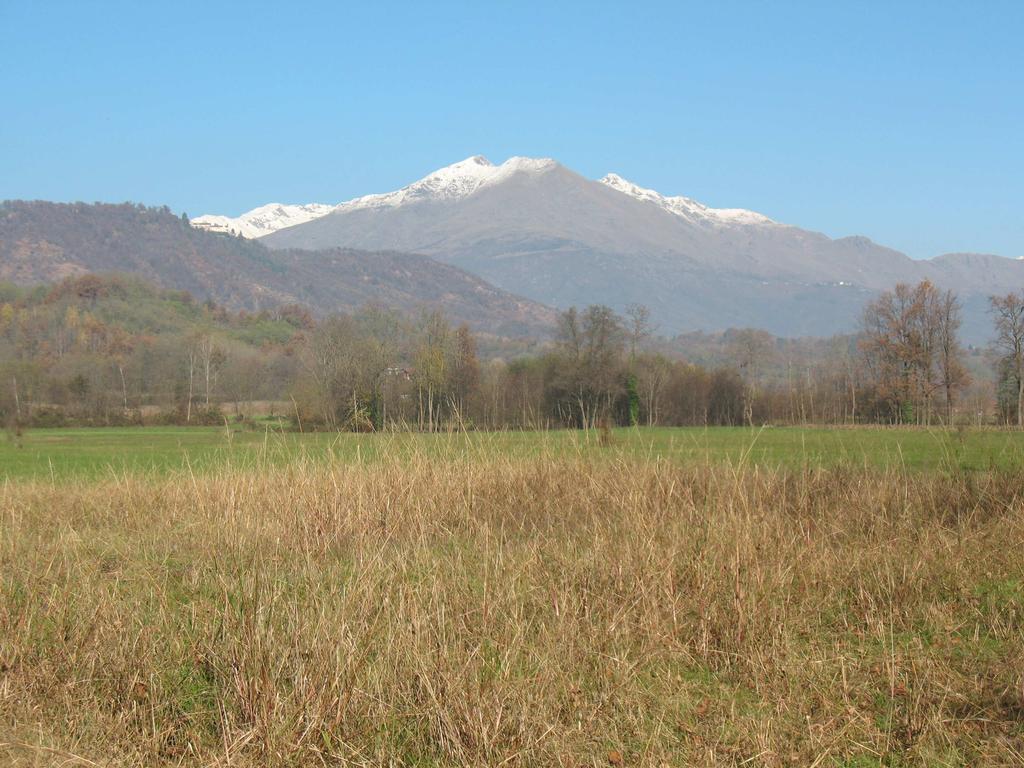 CORSO PER GUARDIE ECOLOGICHE VOLONTARIE