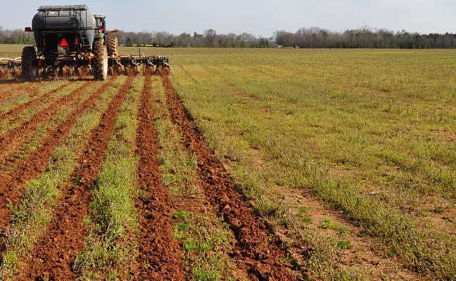 2: strip till (combi) b.