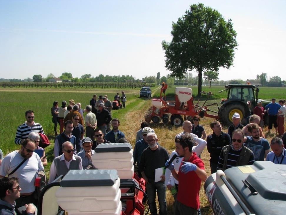 AGRICOLTURA CONSERVATIVA: MISURA 1 CATALOGO VERDE ONLINE Bando 2017 (attualmente aperto) 2 corsi 3 consulenze Risultati Bando 2016 formazione