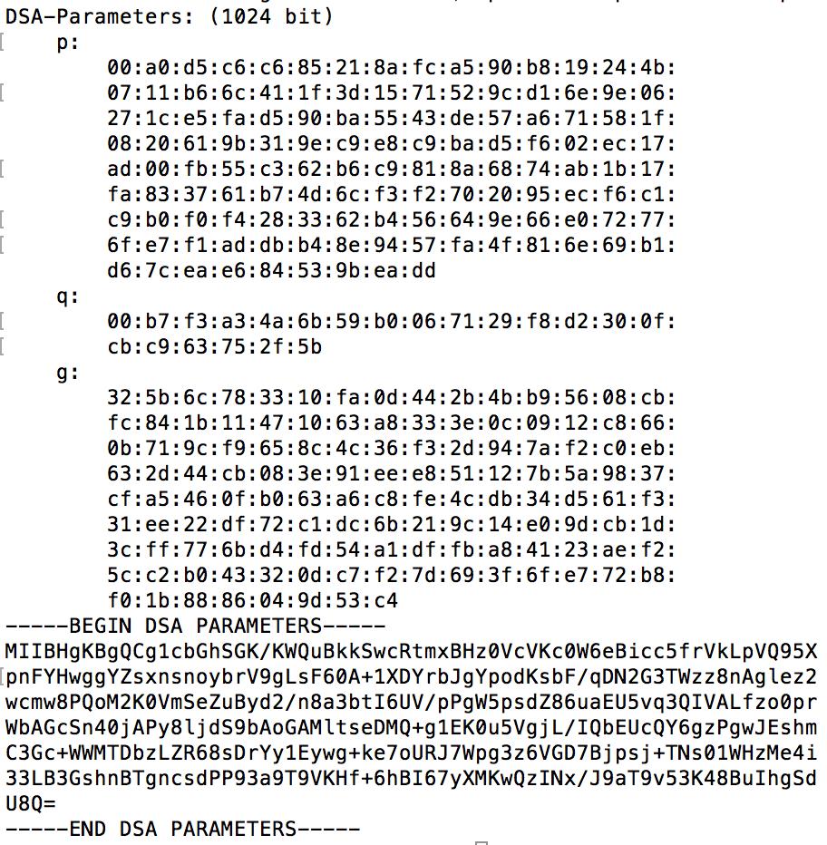 Firma DSA in OpenSSL (Contenuto del file dsaparams.