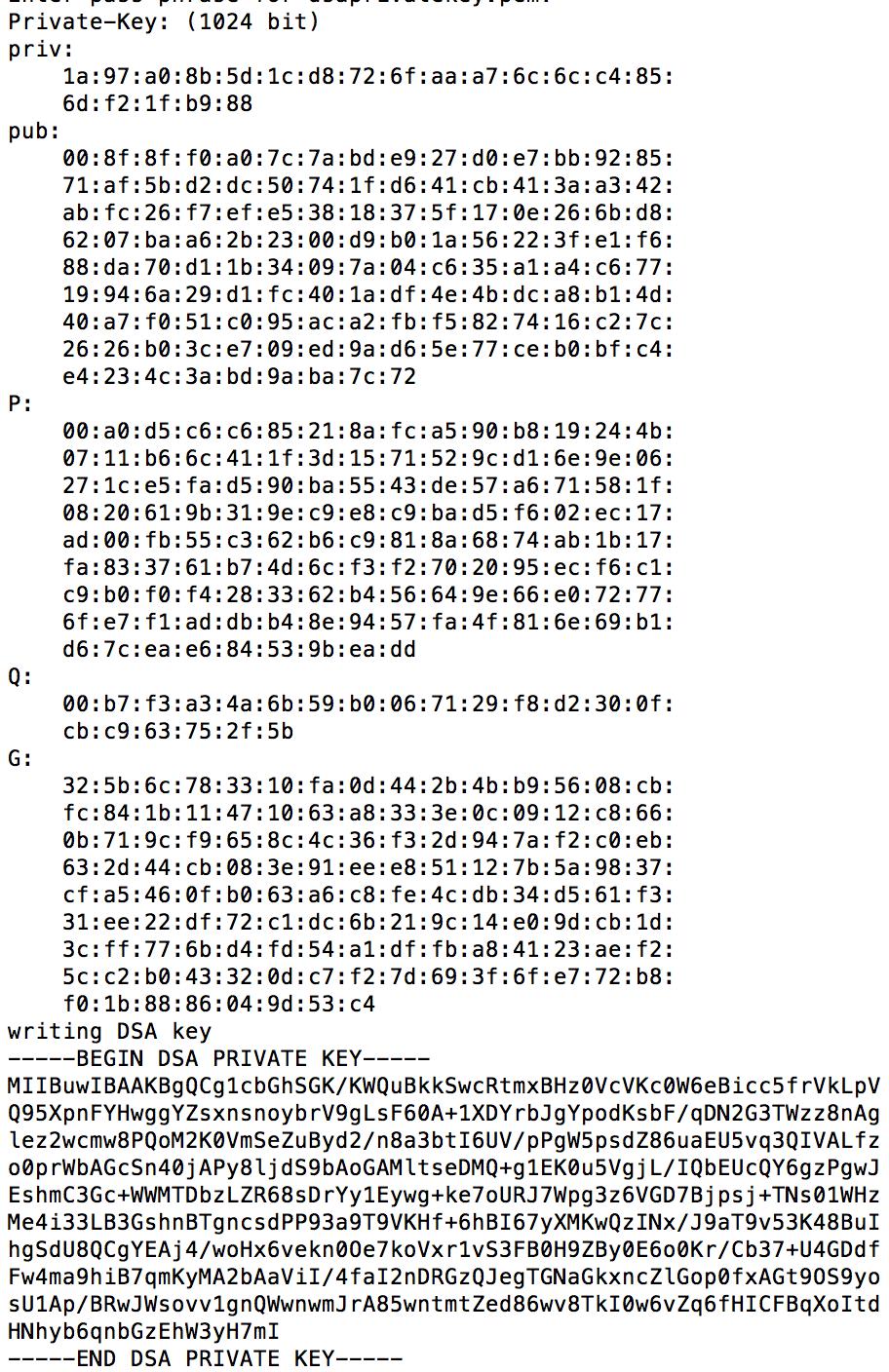 Le chiavi DSA in OpenSSL sono rappresentate secondo lo standard PKCS #8 (RFC5208) Ø https://tools.ietf.