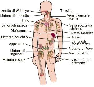 Neoplasie