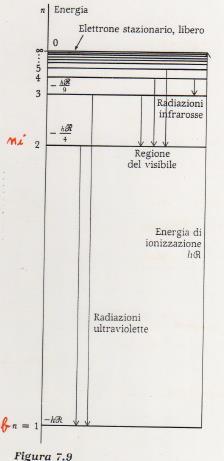 L Emissione di luce corrisponde al passaggio di un elettrone da uno stato ad alta energia ad uno ad energia più bassa La scarica oltre ad atomizzare la molecola di idrogeno riesce a portare l