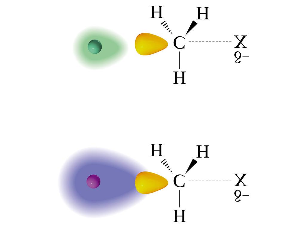 Meccanismo della sostituzione nucleofila bimolecolare (S N 2) Nucleofilo (Nu - ): atomo o gruppo carico negativamente Nello