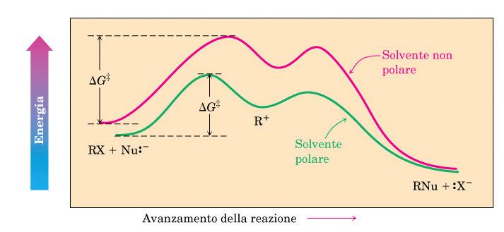 Alogenuri alchilici: S N 1 L effetto solvente su una reazione SN1. L energia dello stato di transizione cala in un solvente polare.