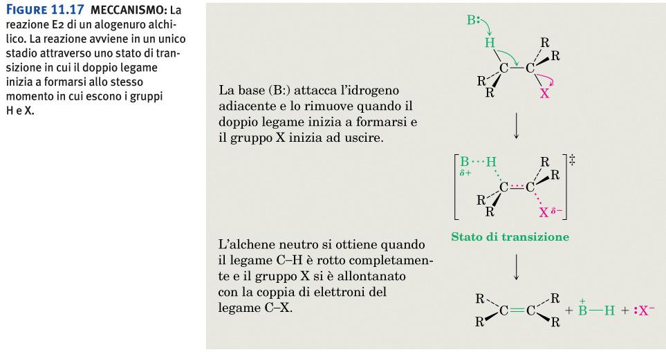 Alogenuri alchilici: E2