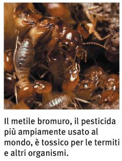 Alogenuri alchilici: reattività Il metile bromuro, il pesticida più ampiamente usato al mondo, è tossico per le termiti e altri organismi.