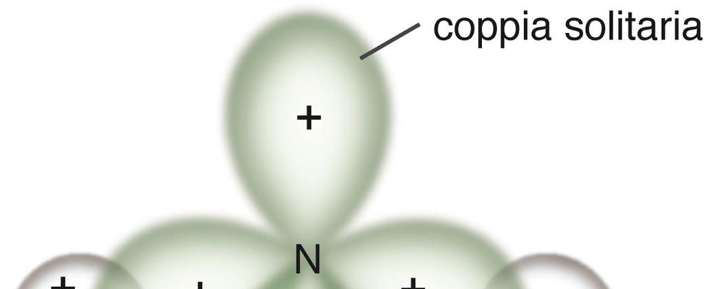 Tre degli orbitali sp 3 dell azoto si combinano con gli orbitali 1s