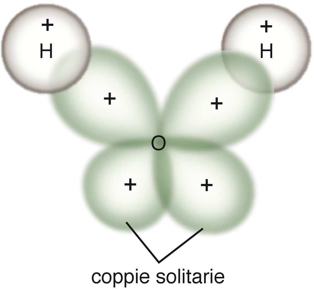 Due degli orbitali sp 3 dell ossigeno si combinano con gli orbitali 1s dell idrogeno per formare due orbitali di legame σ equivalenti e localizzati.