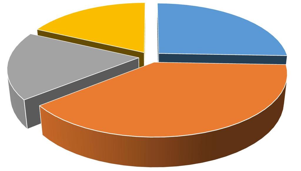 I MEZZI COMUNALI La spesa per i mezzi comunali è pari a circa 135.000,00 e la sua incidenza sul totale delle spese correnti è circa l.