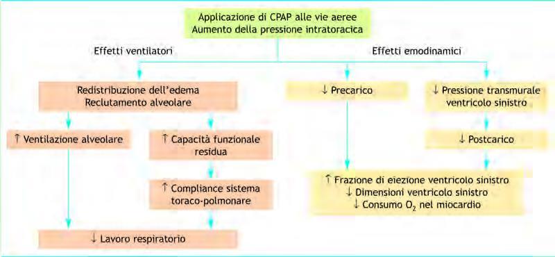 CPAP (Pressione Positiva