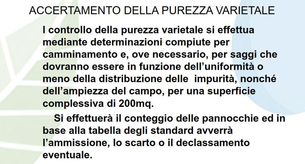 PUREZZA