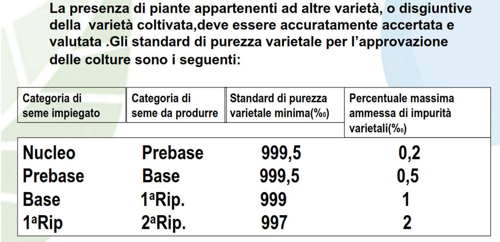 PUREZZA VARIETALE IL NUCLEO PER