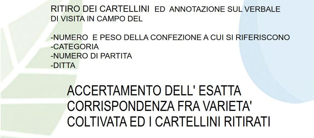 Cartellini