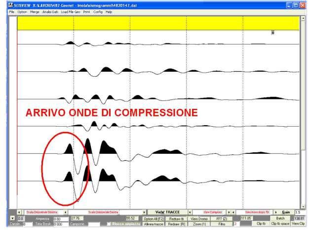 PROGEO srl Via Talete 10/8 47100 Forlì