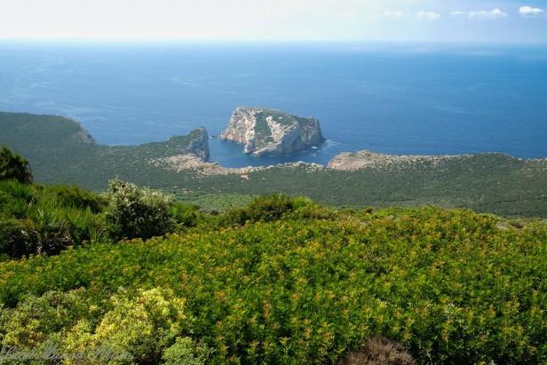 Una volta in cima, naturalmente ci fermeremo per riposarci un po, ma soprattutto per godere della fantastica vista che ci si prospetta a 360, con vista del gofo di Porto Conte a sud-est, a est di