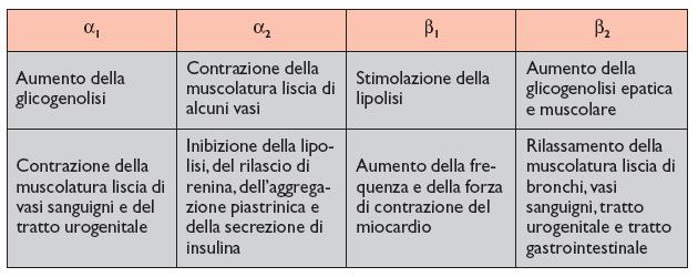 Effetti dell adrenalina