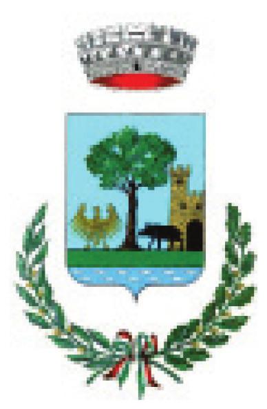 ORIGINALE Determinazione n 238 In data 15/10/2018 Comune di Marano Lagunare Provincia di Udine Determinazione Senza Impegno OGGETTO: Determinazione a