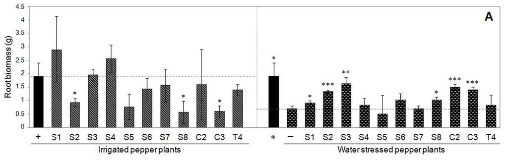 LA RESISTENZA ALLA SICCITÀ PROMOSSA DAL MICROBIOMA RADICALE DIPENDE DALLO STRESS IDRICO Trattamento di riferimento Trattamento di riferimento Student