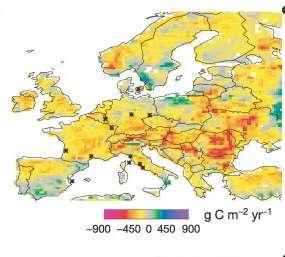 SICCITÀ E RIDUZIONE PRODUTTIVITÀ E RESE - Elevate temperature - Elevata evaporazione Produttività primaria netta nel 2003 -