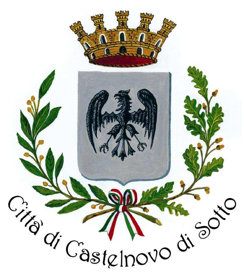 Comune di Castelnovo di Sotto Provincia di Reggio nell Emilia Prot.
