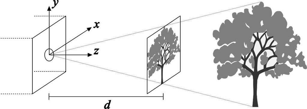 Pinhole Camera Per evitare l effetto di ribaltamento si assume l