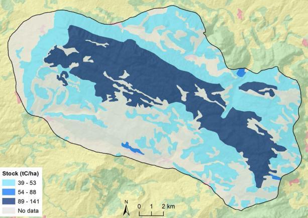 R1 - Sequestro del Carbonio VALUTAZIONE QUALITATIVA E QUANTITATIVE DEI SE PRIORITARI Monti Alburni (SIC/ZPS IT8050055) (Schirpke et al.