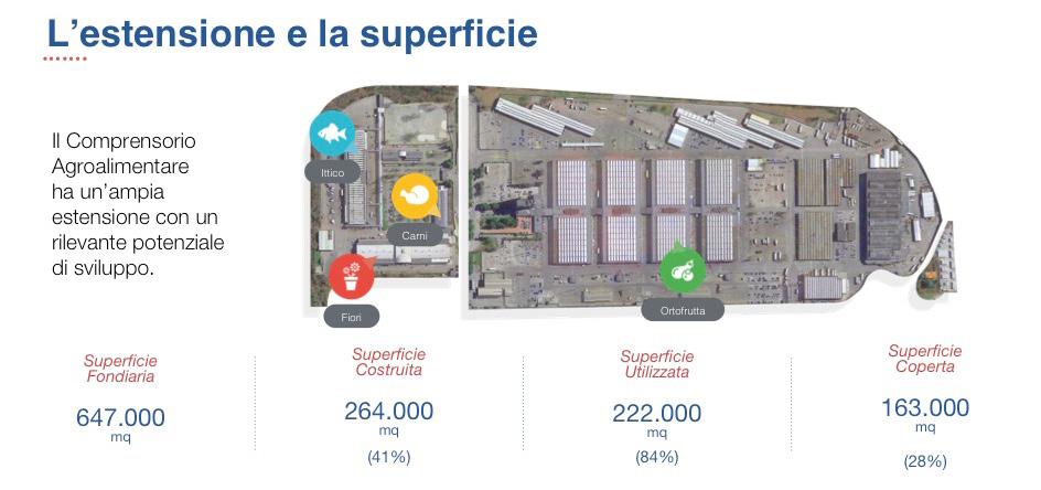 Qual è lo stato attuale dell Ortomercato? L Ortomercato è una struttura realizzata nel 1965, opera con un livello commerciale molto elevato.