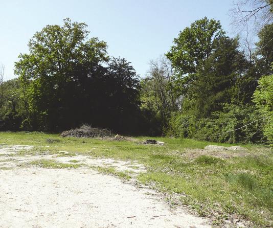 punto di vista vegetazionale), denuncia scarsa manutenzione e cura.